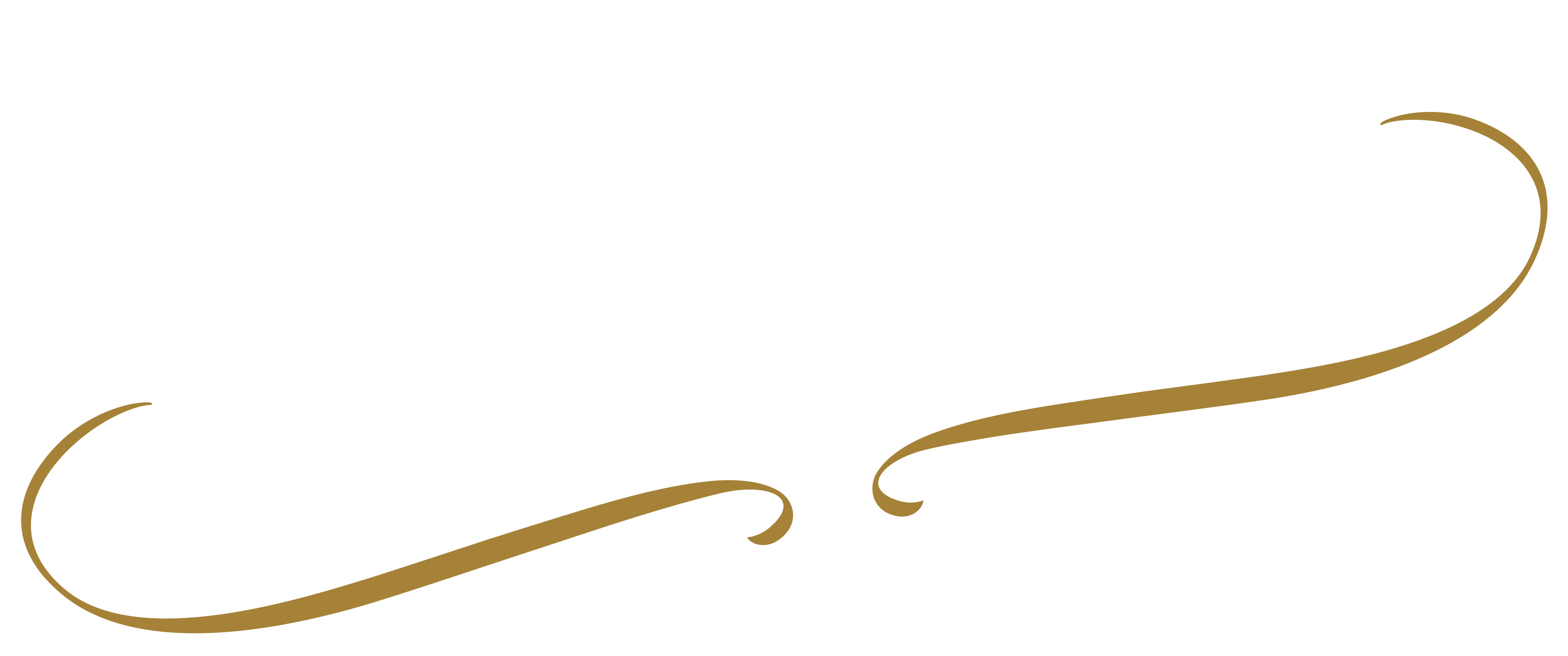 Divine Park Logo